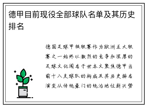 德甲目前现役全部球队名单及其历史排名